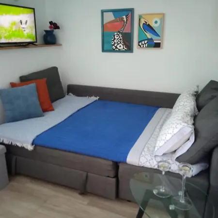 Trini Apartment La Jaca